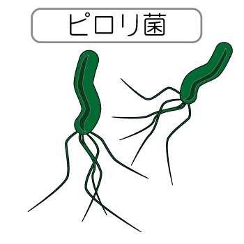 イラスト：ピロリ菌