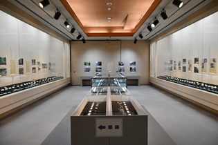 企画展「全国鉱物採集の旅」会場写真（全景）