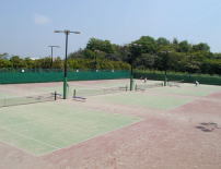 写真：運動公園テニス1