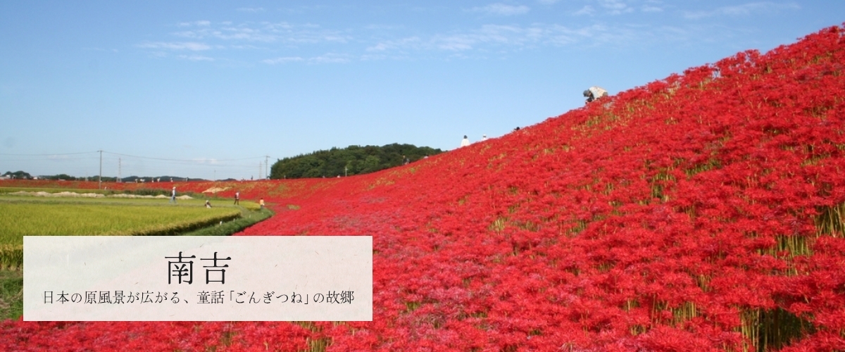 写真：南吉　日本の原風景が広がる、童話「ごんぎつね」の故郷