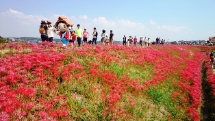 写真：ごんの秋まつりでPR