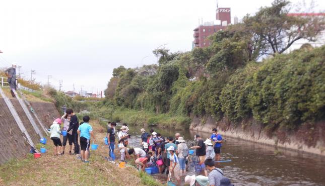 写真：令和4年度「神戸川の生き物」の様子2