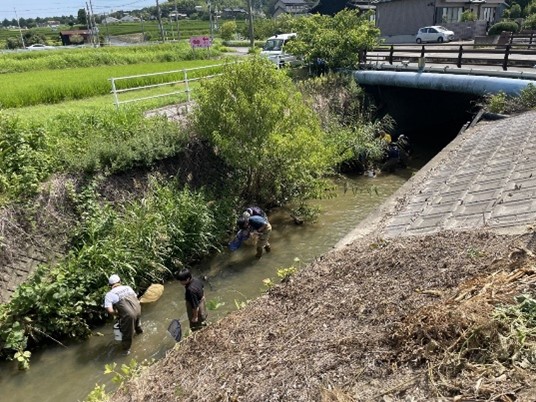写真:水生生物調査の様子1