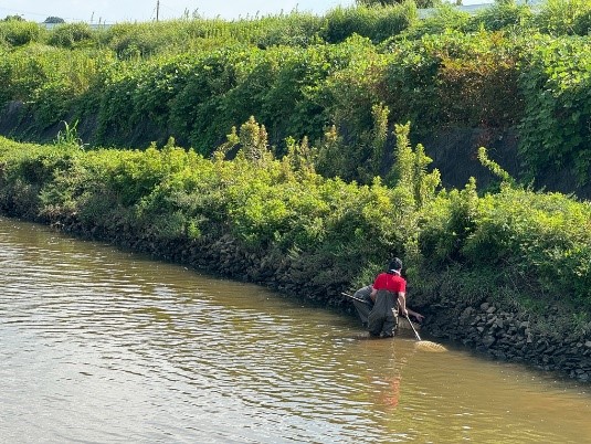 写真:水生生物調査の様子2