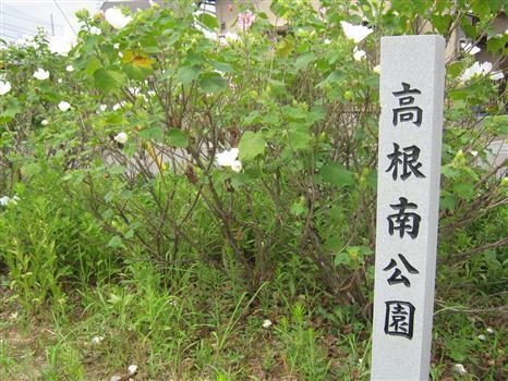 写真：高根南公園