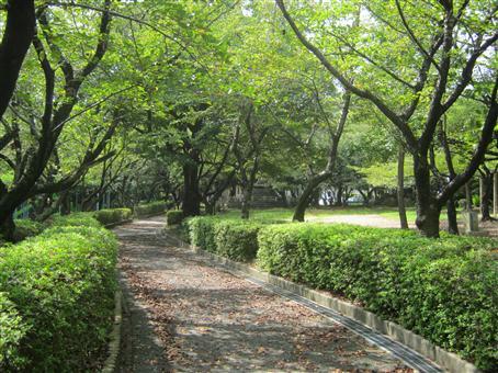 写真：乙川白山公園