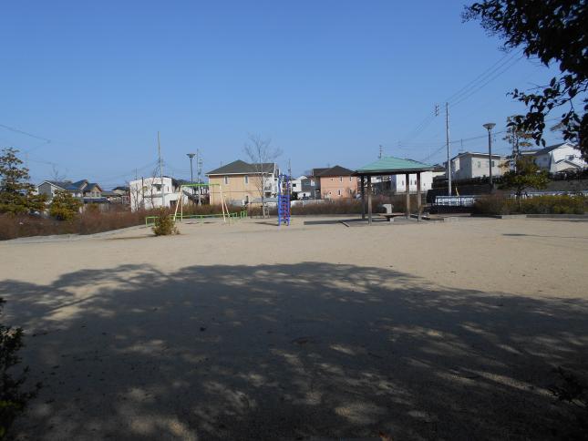 写真：大池公園　全景