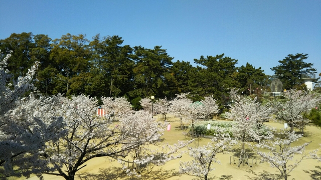 写真：雁宿公園（北エリア）