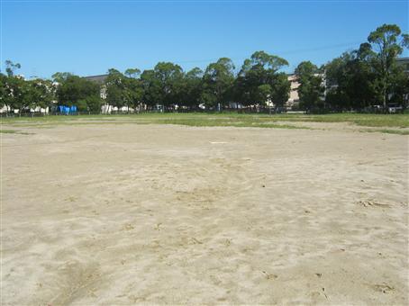 写真：瑞穂公園