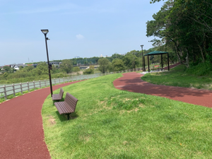 写真:芝生広場1