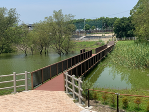 写真：親水デッキ