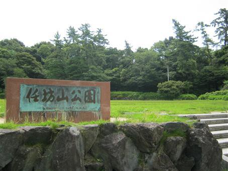 写真：任坊山公園