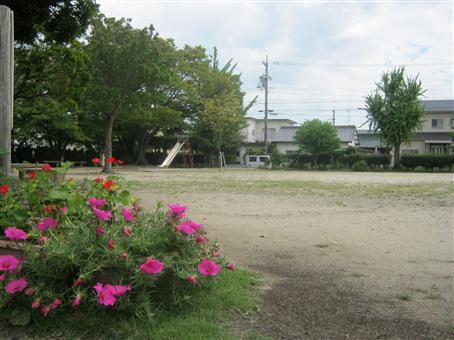 写真：高峯公園