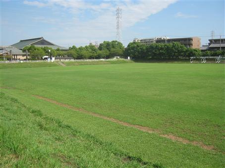 写真：青山公園