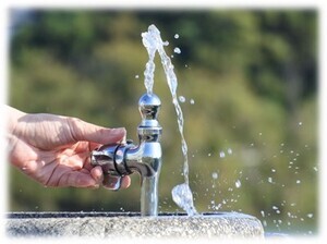 写真：水飲み場の蛇口から水が出ている様子