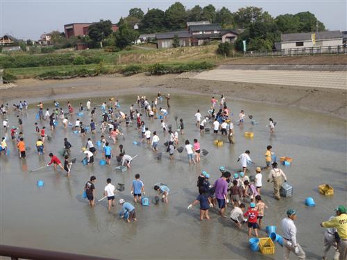 写真：かいどり大作戦