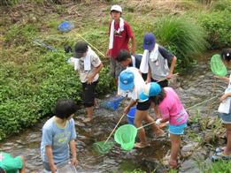 写真：たもをもって水に入っている子どもたち