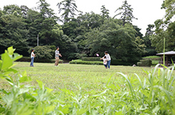 写真：成岩地区1