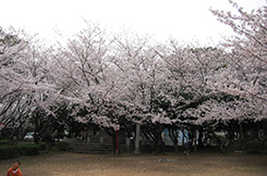 写真：乙川地区1