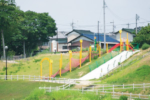 写真：七本木池公園2