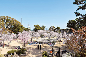 写真：雁宿公園1