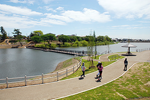 写真：七本木池公園1