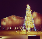 写真：半田赤レンガ建物のクリスマスツリー