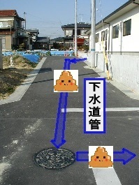 道路の下に下水道管がどのようにつながっているか示された写真