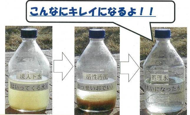 写真：流入下水→活性汚泥→処理水
