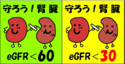 腎臓シール