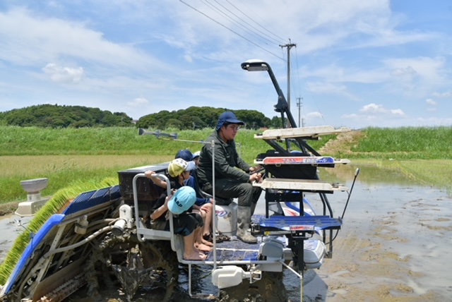 写真:田植え機に乗って田植えをする様子