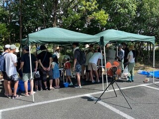 令和6年度　神戸川の生き物(2)