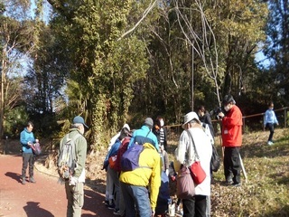 令和4年度　冬越をする虫たち2