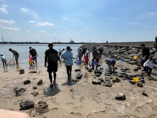 令和6年度　亀崎海岸の生き物（1）