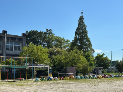 半田幼稚園の様子です