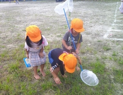 乙川幼稚園の様子です