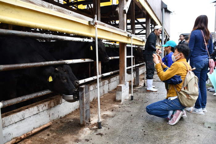 写真：牧場見学の様子