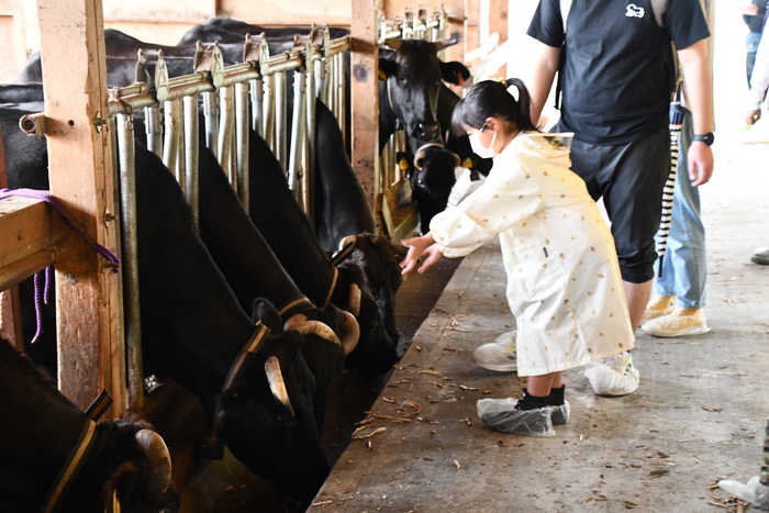 写真：魅力発見ツアーの写真