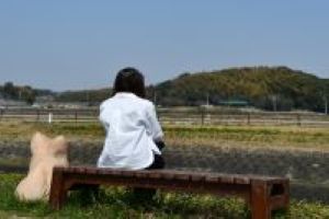 写真：矢勝川沿いの堤