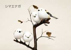 シマエナガ