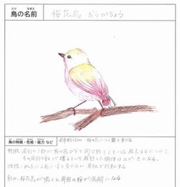 中学生～大人の部_最優秀賞（宮澤様）