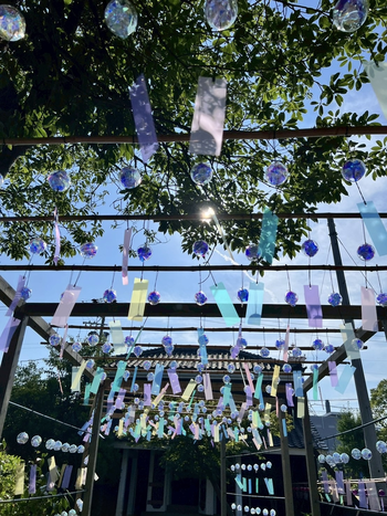 半六庭園 風鈴の飾りの様子