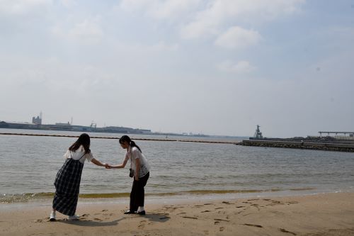 海
